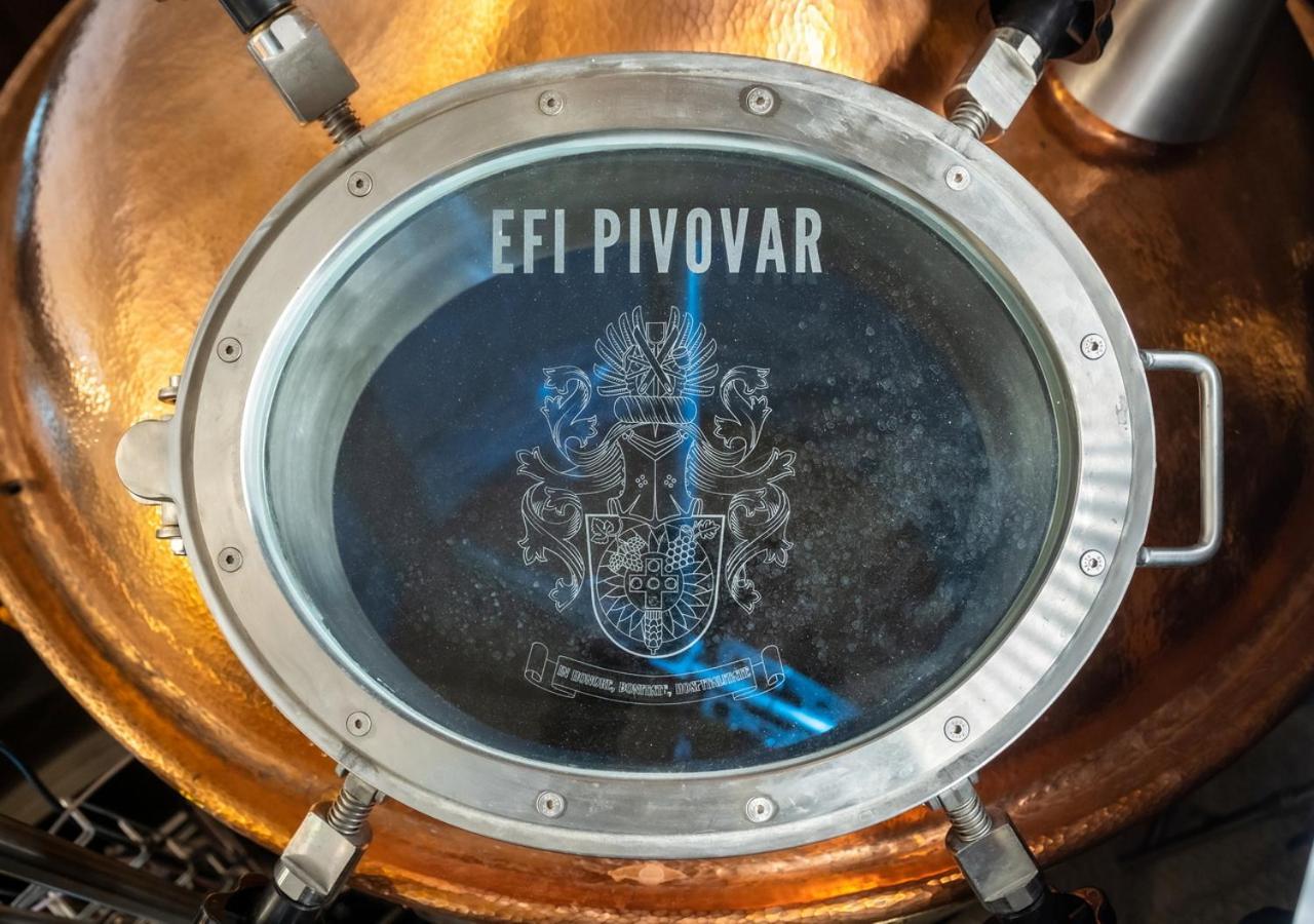 Efi Spa Hotel Superior & Pivovar Brno Bagian luar foto